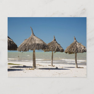 Cartão Postal México, Península de Yucatán, Progreso. Palha