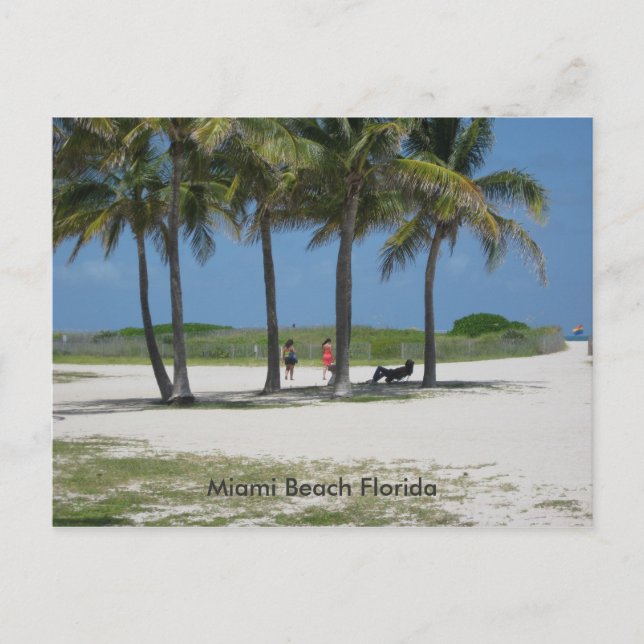 Cartão Postal Miami Beach Flórida (Frente)