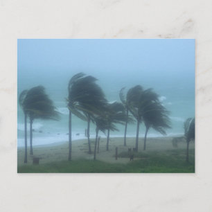 Cartão Postal Miami Beach, Flórida, ventos de furacão açoitando