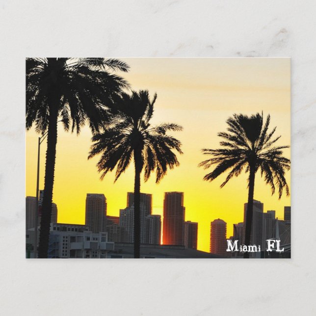 Cartão Postal Miami FL (Frente)