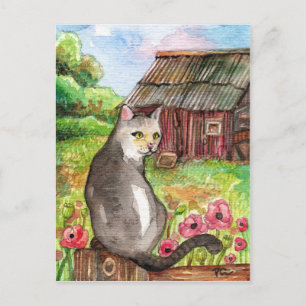 Cartão Postal Miau no celeiro