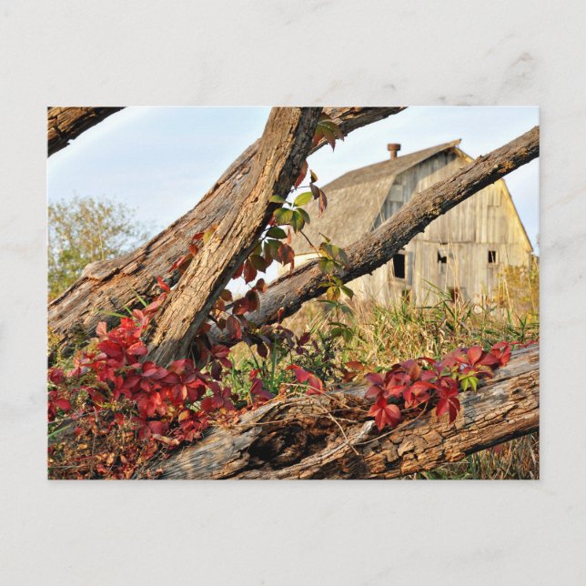 Cartão Postal Michigan Barn and Fall Color (Frente)