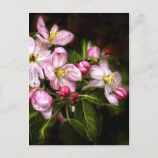 Cartão Postal Michigan Blooms