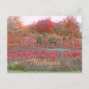 CARTÃO POSTAL MICHIGAN HILLSIDE AFLAMA COM COR