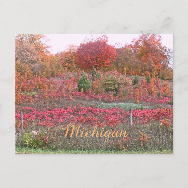 CARTÃO POSTAL MICHIGAN HILLSIDE AFLAMA COM COR (Frente)