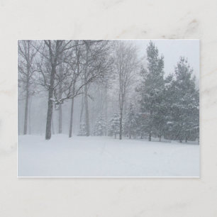 Cartão Postal Michigan MI Winter Snow Na Cena Das Árvores