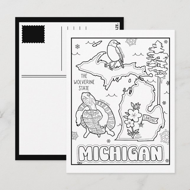 Cartão Postal michigan pinte-me colagem (Frente/Verso)