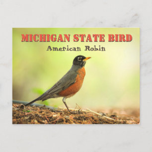 Cartão Postal Michigan State Bird Robin