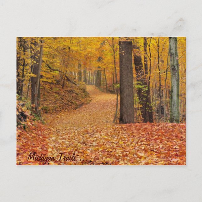 Cartão Postal Michigan Trails (Frente)
