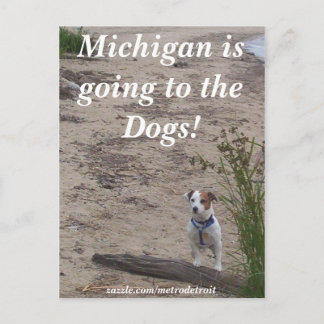 Cartão Postal Michigan vai para os Cães!