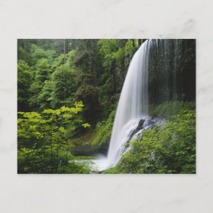 Cartão Postal Middle North falls, Silver Falls State Park,
