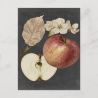 Midnight Harvest II
