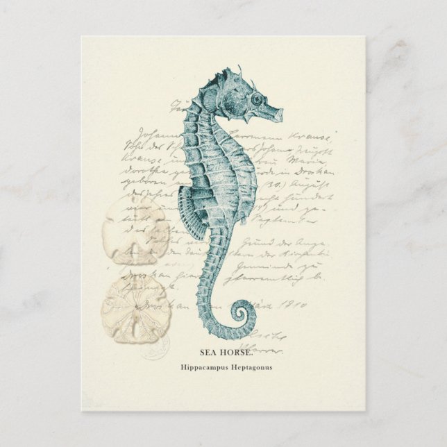 Cartão Postal Milha Náutica (Frente)