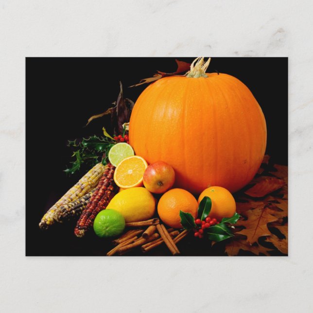 CARTÃO POSTAL MILHO E FRUTA DE PUMPKIN (Frente)