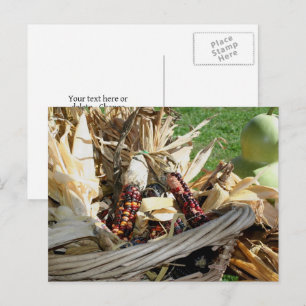 Cartão Postal Milho Indiano Em Cesta Natureza Personalizada