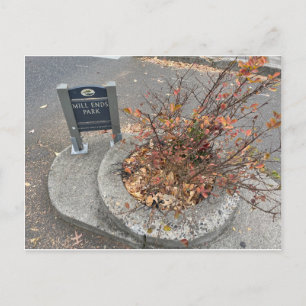 Cartão Postal Mill Ends Park