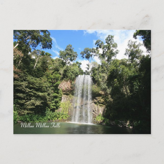 Cartão Postal Millaa Millaa Falls, Austrália de Queensland (Frente)