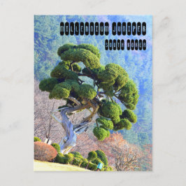 Cartão Postal Millennium Juniper na Coreia Gapyeong