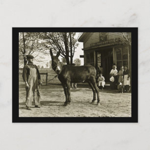 Cartão Postal Milwaukee Mule e Farmer Vintage