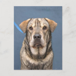 Cartão Postal Mindy