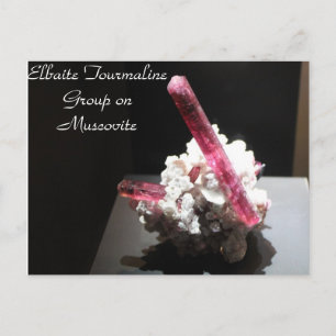 Cartão Postal Minerals & Gems # 99