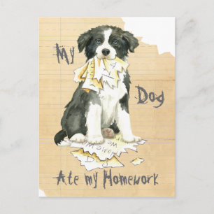 Cartão Postal Minha Fronteira Collie Comeu Meu Trabalho De Casa