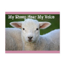 Minha Ovelha Ouve Minha Voz, John 10:27 Bíblia Ver