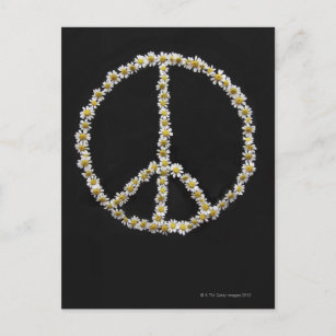 Cartão Postal Mini Daisies em um Símbolo de Paz
