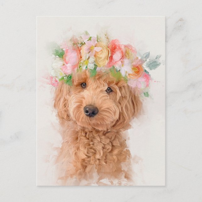 Cartão Postal Mini Goldendoodle Cachorro Verso (Frente)