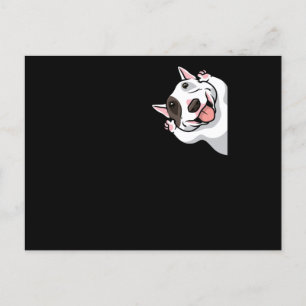 Cartão Postal Miniatura Bull Terrier Dog Engraçado