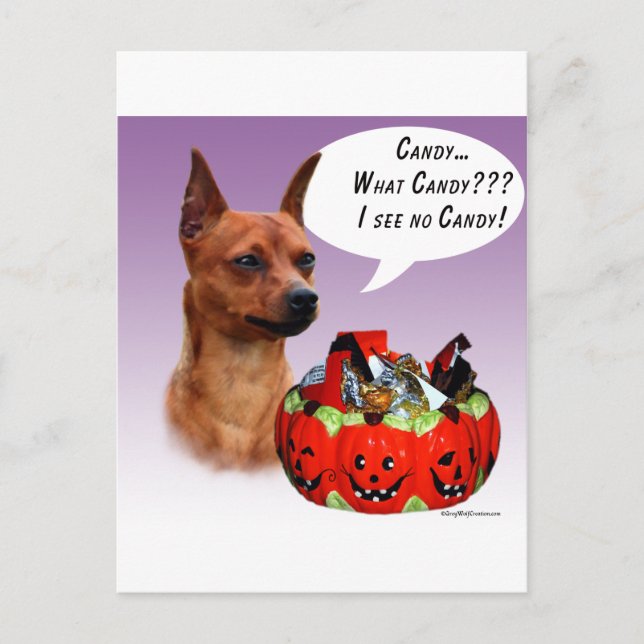 Cartão Postal Miniatura Pinscher Doces de Halloween (Frente)