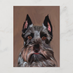 Cartão Postal Miniatura Schnauzer — Pintura De Cor De Água