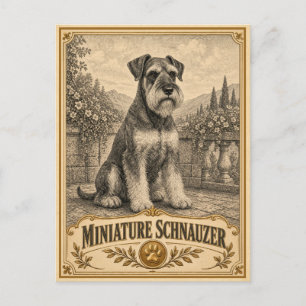 Cartão Postal Miniature Schnauzer, Cachorro de Herança Vintage