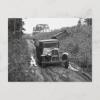 Minnesota Blueberry Pickers, 1937