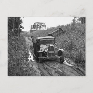 Cartão Postal Minnesota Blueberry Pickers, 1937