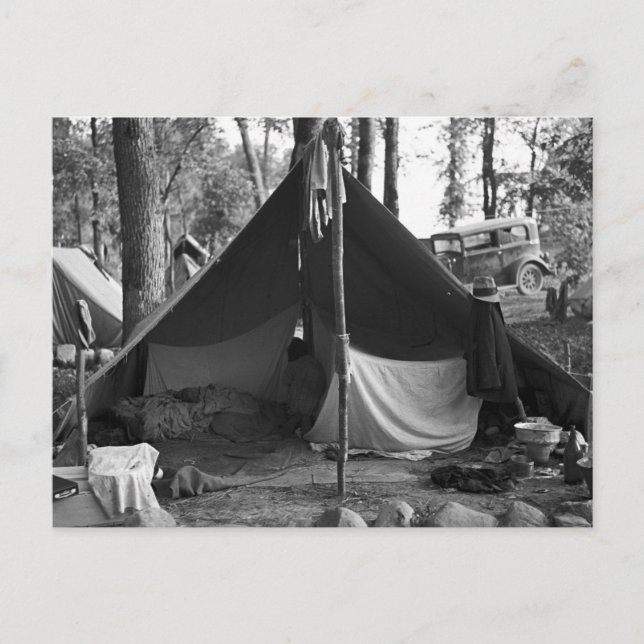 Cartão Postal Minnesota Blueberry Pickers, 1937 (Frente)