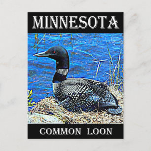 Cartão Postal Minnesota Common Loon