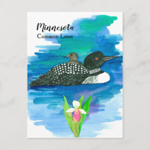 Cartão Postal Minnesota Common Loon Watercolor Lake