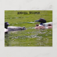 Minocqua Wisconsin Postcard Lake Up North Loons