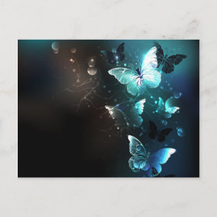 Cartão Postal Mint Night Butterflies