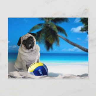 Cartão Postal Misha Pug na praia