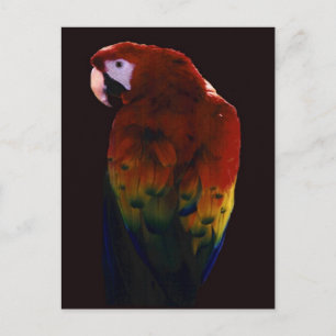 Cartão Postal Miss Scarlett