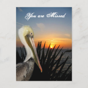 Cartão Postal Miss You_ Postcard