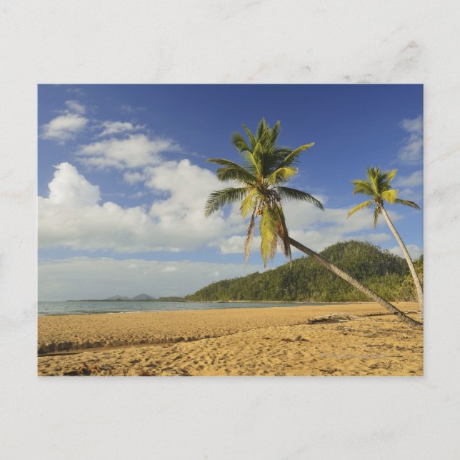 Cartão Postal Mission Beach (Frente)