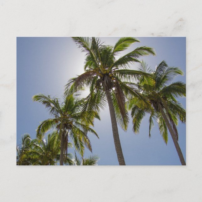 Cartão Postal Mission Beach (Frente)