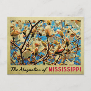 Cartão Postal Mississippi Magnolias