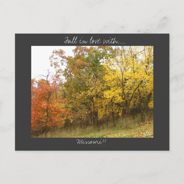 Cartão postal Missouri (Frente)