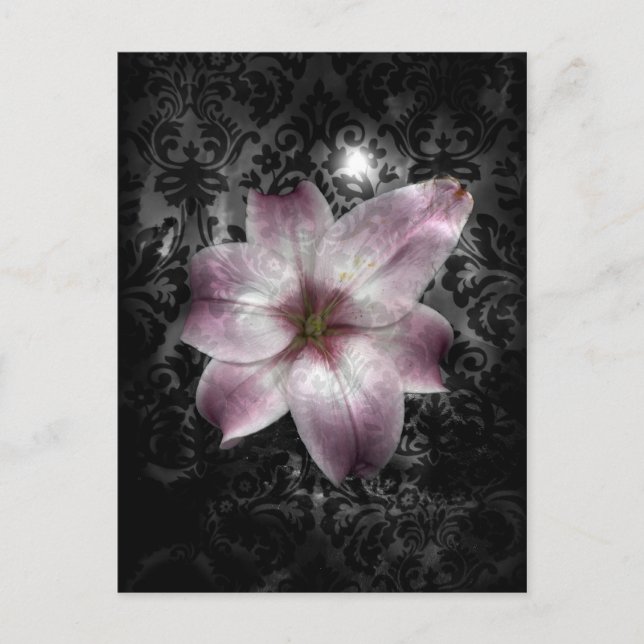 Cartão Postal Mistério Glorioso (Frente)