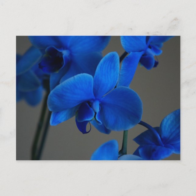 Cartão Postal Mística Azul (Frente)