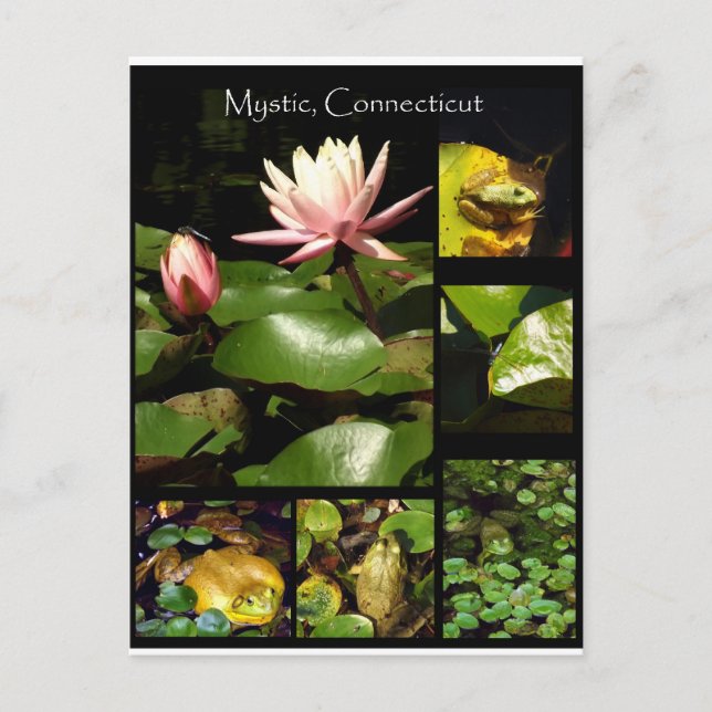 Cartão Postal Mística, Connecticut (Frente)
